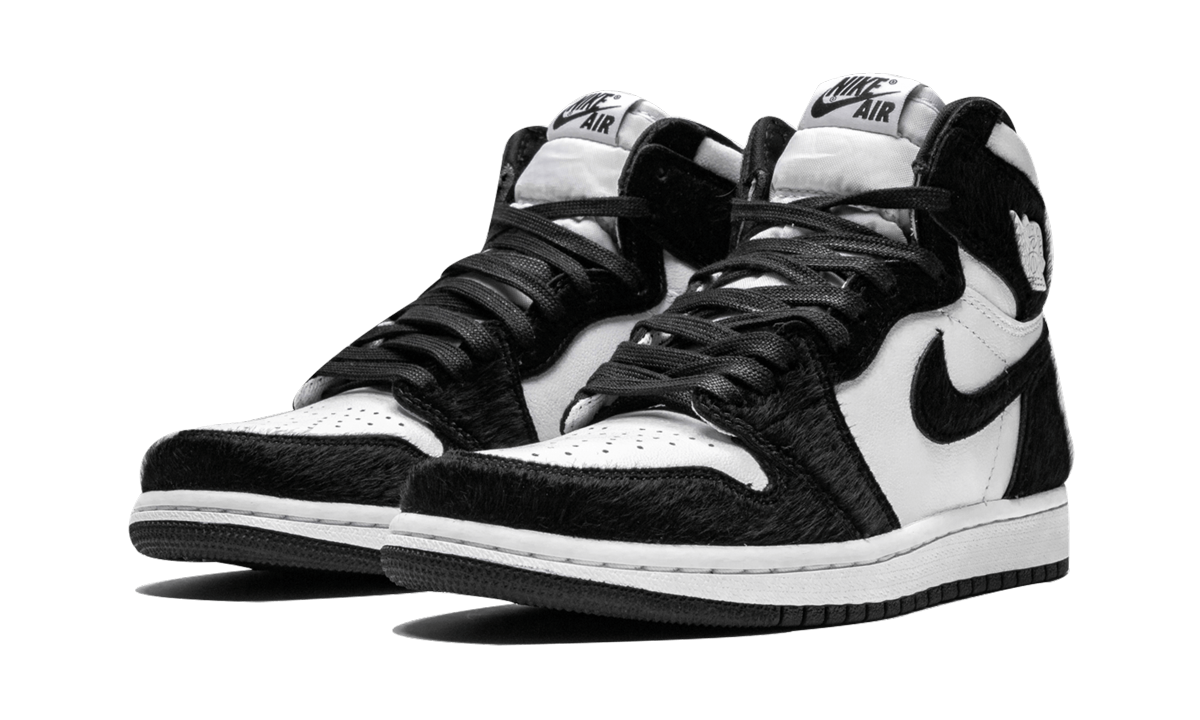 AIR JORDAN 1 RETRO HIGH OG WMNS "Twist" CD0461 007